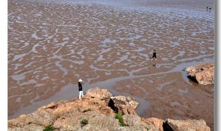 大海啊故乡钢琴伴奏 大海啊故乡钢琴伴奏