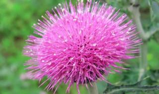 台风的名字怎么来的 台风的名字怎么来的