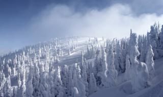 立冬发朋友圈暖心短句 立冬发朋友圈暖心短句