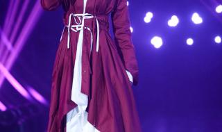 我是歌手第十二期 我是歌手第十二期